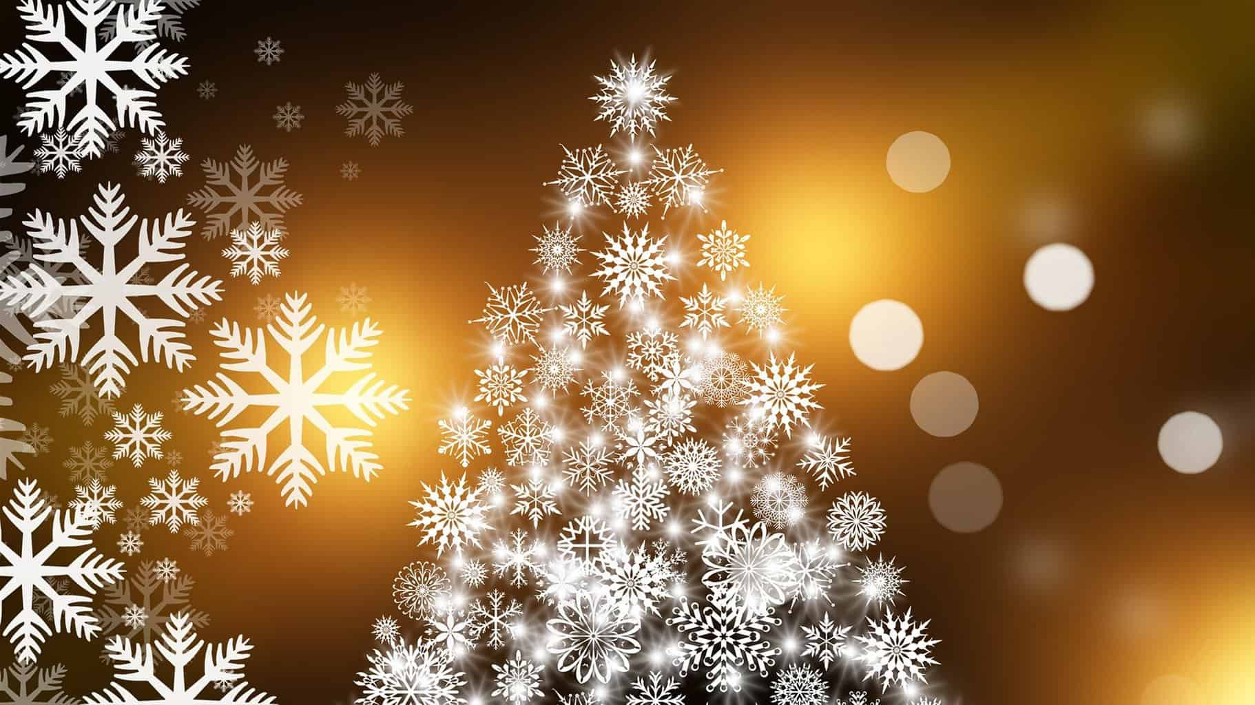 christmas-tree-g842374553_1920